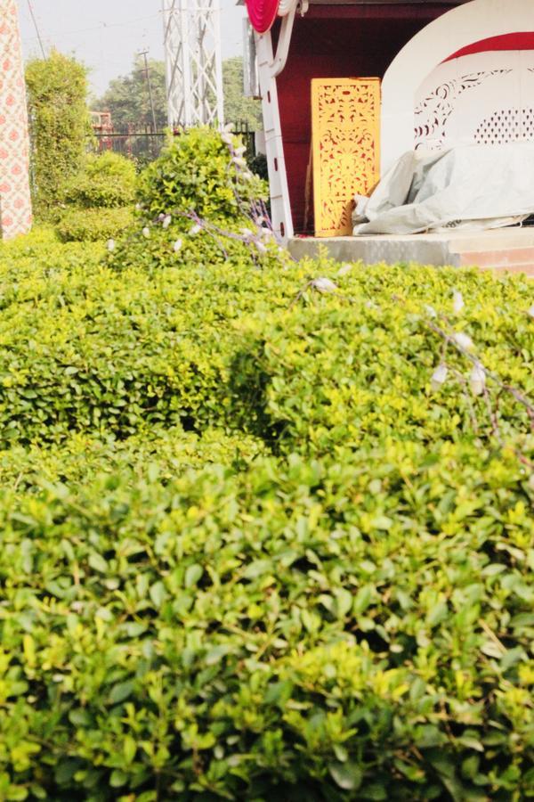 Vinayak Palace Hotel Mathura Luaran gambar